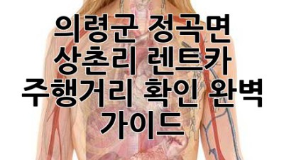 의령군 정곡면 상촌리 렌트카 주행거리 확인 완벽 가이드