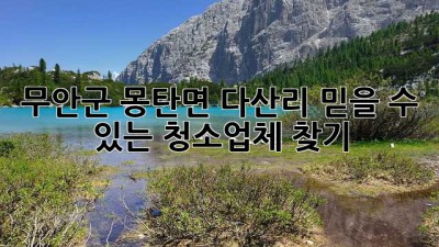 무안군 몽탄면 다산리 믿을 수 있는 청소업체 찾기🧹✨