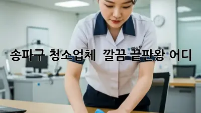 송파구 청소업체 ✨ 깔끔 끝판왕 어디?